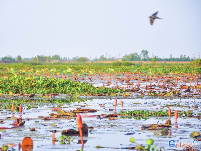 ตำนานรักแสนเศร้า