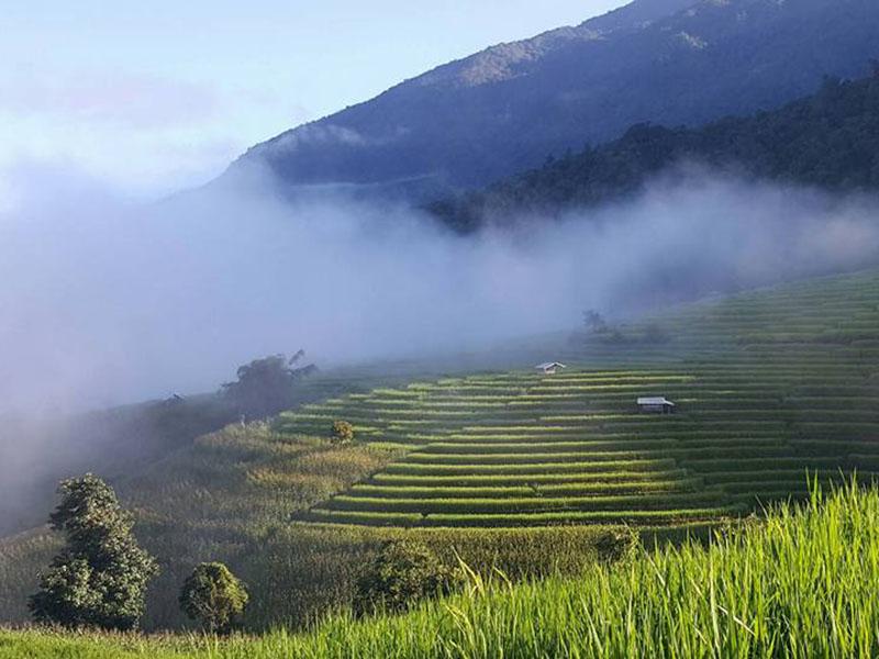 ไร่นา ท้องทุ่ง เชิงดอย เชียงใหม่