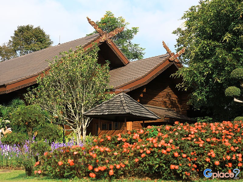 ลัดเลาะ 1149 ตามแนวชายแดน ดอยตุง ผาฮี้ ผาหมี