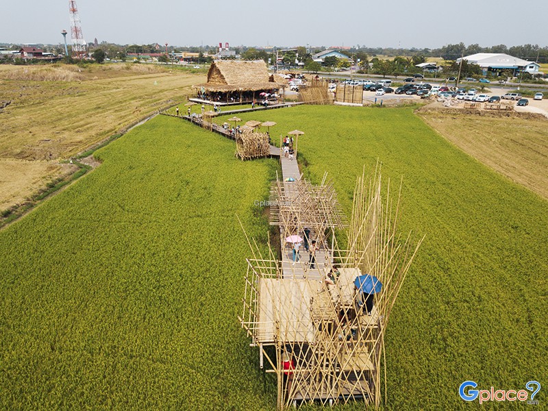 กรุงเทพ-เชียงใหม่ ที่ไหนน่าแวะ