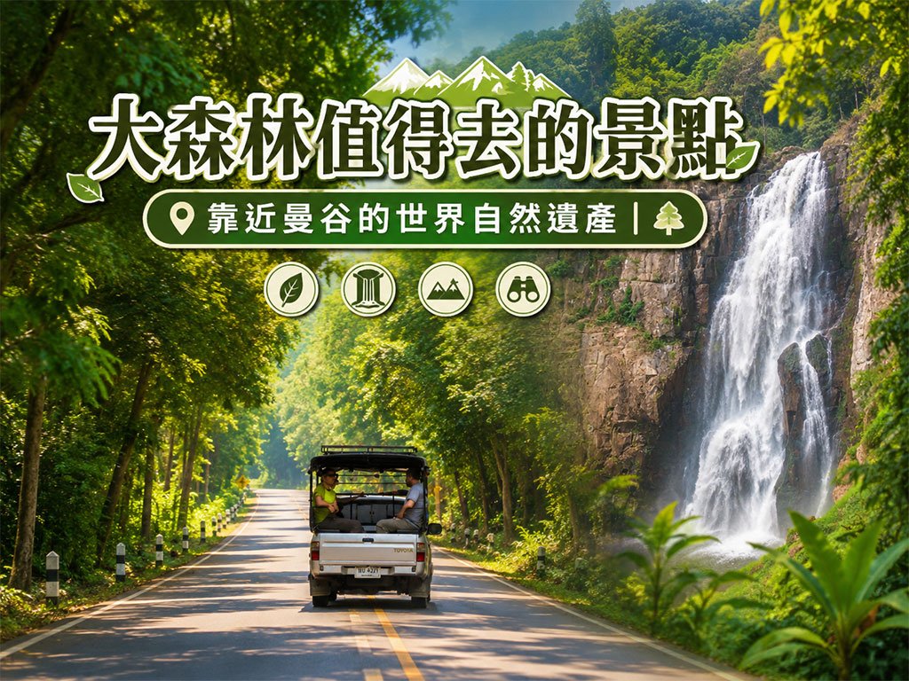 大森林：哪裡好玩