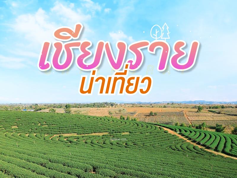 清莱旅游