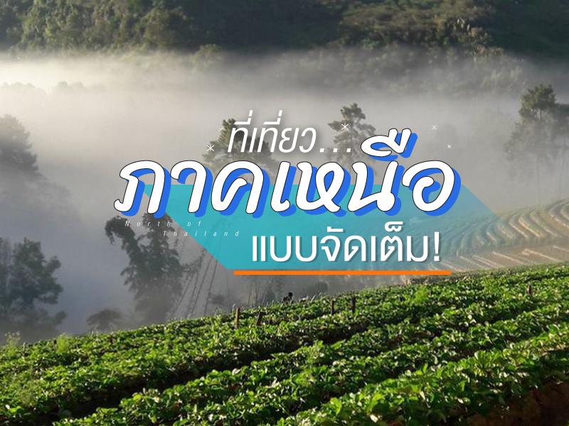 ที่เที่ยวหน้าหนาวภาคเหนือ แบบจัดเต็ม