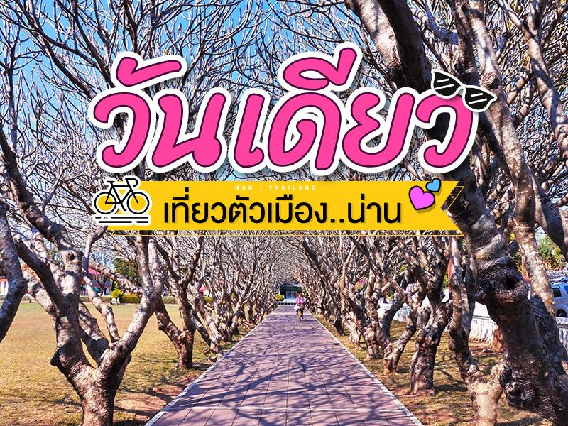 一天 喃府旅游
