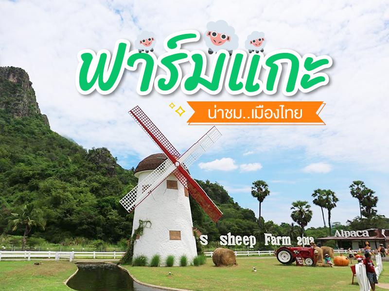 羊场 好玩